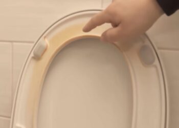 Maak een gele toiletbril zo goed als nieuw met deze geniale truc!