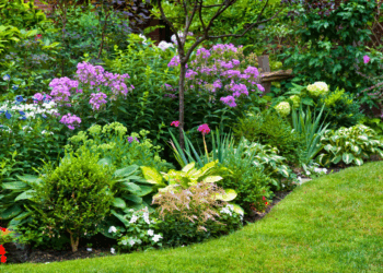 4 planten die je in de tuin moet hebben om slakken af te schrikken