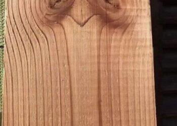 Wat je als eerste ziet, zegt veel over je persoonlijkheid