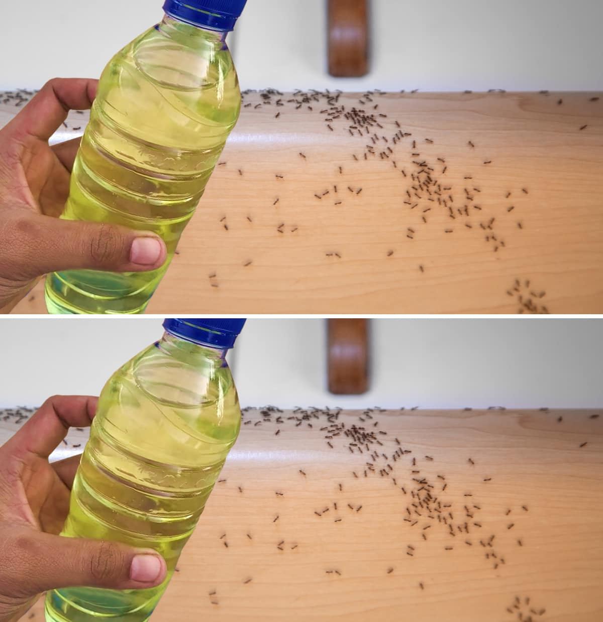 Spuit dit natuurlijke, zelfgemaakte afweermiddel en zeg binnen twee minuten vaarwel tegen vliegen en muggen