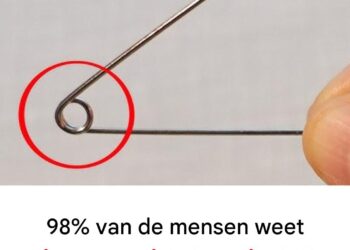 Dit kleine gaatje in een veiligheidsspeld heeft een verrassend handige functie!