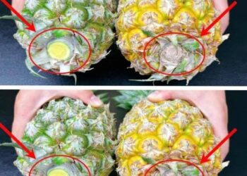 Zo weet je of een ananas rijp is of niet