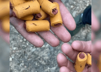 Waarschuwing: hondensnoepjes gevuld met vishaken