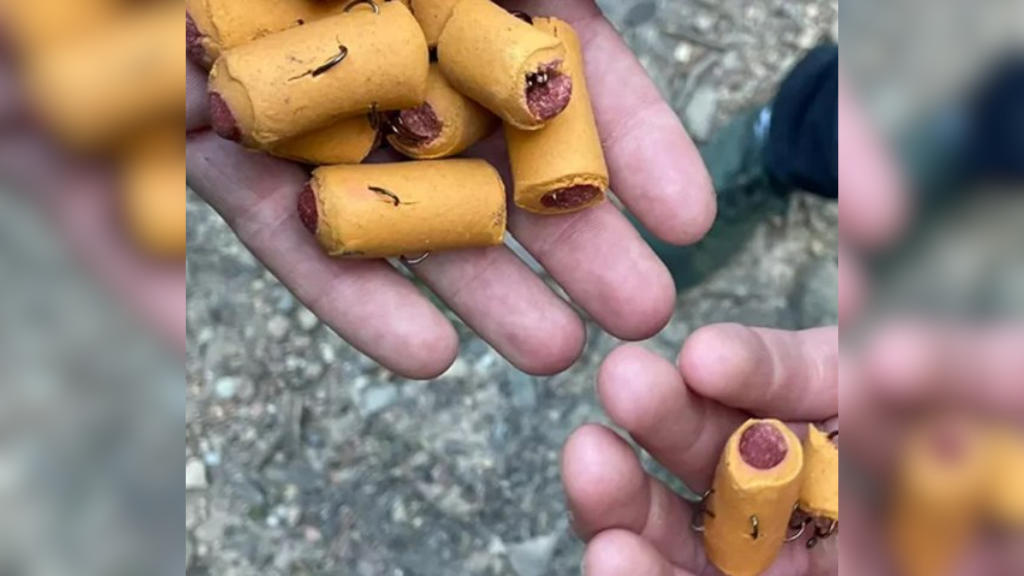 Waarschuwing: hondensnoepjes gevuld met vishaken