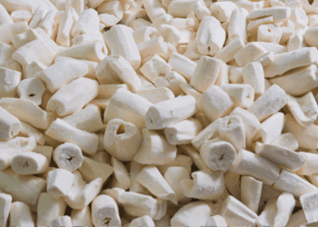 Jaarlijks sterven honderden mensen door dit voedsel, maar wereldwijd blijven mensen het massaal eten!