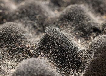 Een RVS spons in je wasmachine stoppen? Jij gaat dit vanaf nu ook doen!