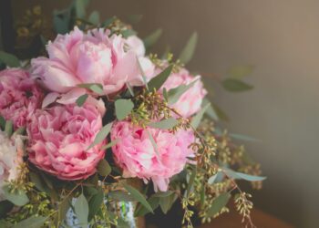 Aha: zo gaan jouw pioenrozen langer mee – en gaat echt elke bol open!