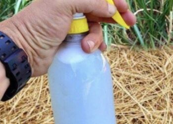 Binnen twee uur al het onkruid weg: deze simpele oplossing doet het werk voor je!