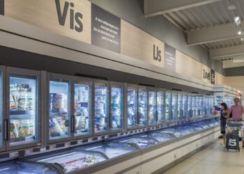 Stop met het eten van déze 9 vissoorten (slecht voor je gezondheid)!