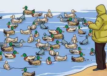 Je hebt 10 seconden: wat klopt er niet aan deze afbeelding?