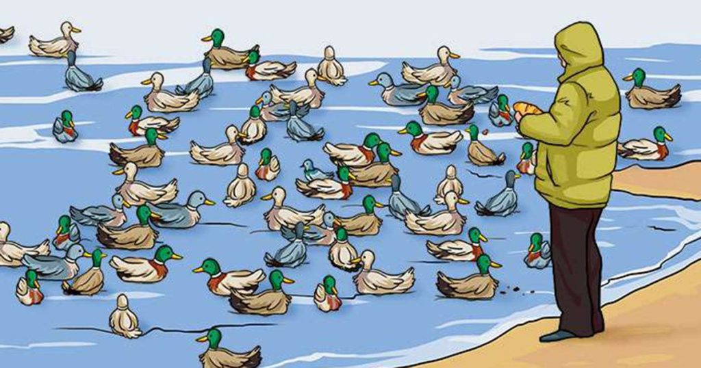 Je hebt 10 seconden: wat klopt er niet aan deze afbeelding?