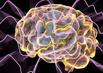 Volgens wetenschappers laat een scheiding op elke leeftijd blijvende sporen na in je brein