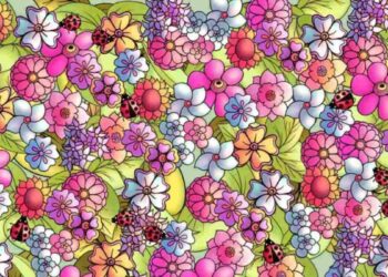 Breinbreker: Vind de vlinder in 5 seconden in deze lastige illusie!