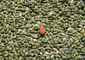 Dit is waarom je vanaf nu aan elke maaltijd pompoenpitten moet toevoegen…