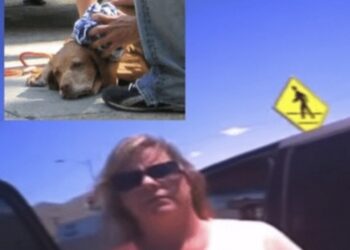 Agent laat vrouw zelf ervaren hoe warm het is in een afgesloten auto