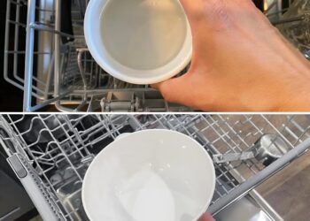 Hoe je de vaatwasser reinigt met een kopje van dit goedkope middel