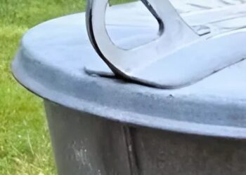 Dit voorwerp stond vroeger bij iedereen in de tuin – weet jij wat het is?