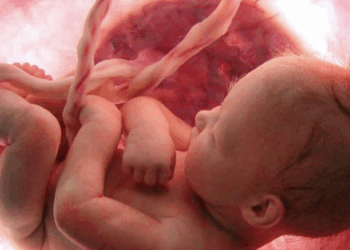 Prachtige video laat zwangerschap van 9 maanden in slechts 4 minuten zien