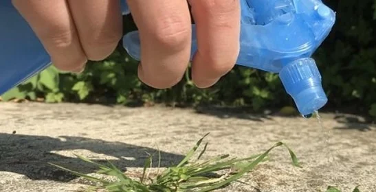 Strooizout tegen onkruid – een effectieve en eenvoudige oplossing