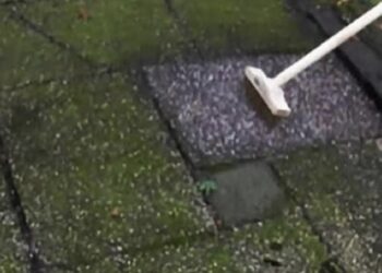 Probeer dit huismiddeltje eens (nooit meer groene aanslag)