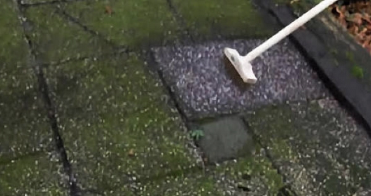 Probeer dit huismiddeltje eens (nooit meer groene aanslag)