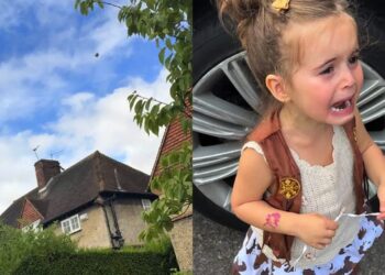 Video: Iedereen snapt waarom dit kleine meisje zo intens verdrietig is