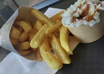 Je raadt nooit hoeveel dit frietje speciaal tegenwoordig kost..