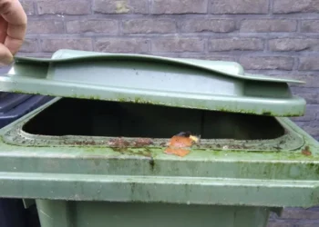 Gooi deze producten absoluut niet in de groene kliko als je maden wil voorkomen!