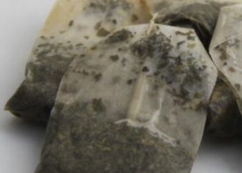 Met één theezakje komt dit ongedierte nooit meer je huis binnen!