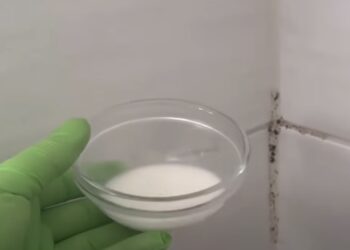 Schimmel op de kitrand in de douche? Met deze aanpak is het binnen enkele minuten verdwenen.