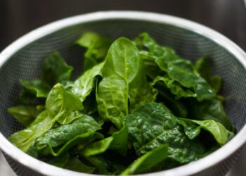 Is diepvries of verse spinazie nou gezonder? Dit is het antwoord!