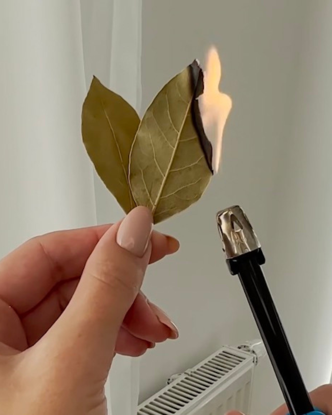 Zij steekt een laurierblad thuis aan. Dit heb ik nooit geweten!