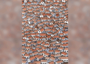 Kun jij de kat vinden in deze zee van daken?