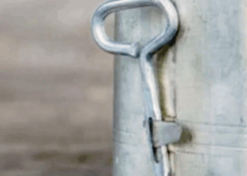 Niemand weet nog waar dit kleine metalen voorwerp voor diende, jij wel..