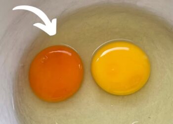 Is een donkere eierdooier gezonder dan een lichtere? Het antwoord verrast velen…
