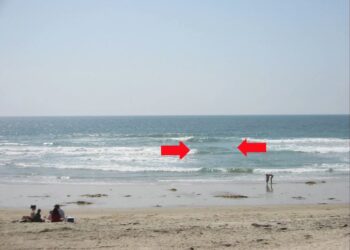 Dit moet je doen als je in een muistroom terechtkomt!