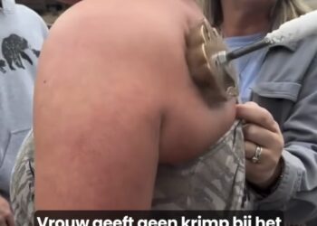 Specerijen om muizen en ratten voorgoed uit huis te weren