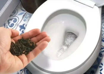 Aha: zo verwijder je de geur van urine uit het toilet en laat je een heerlijke geur achter!