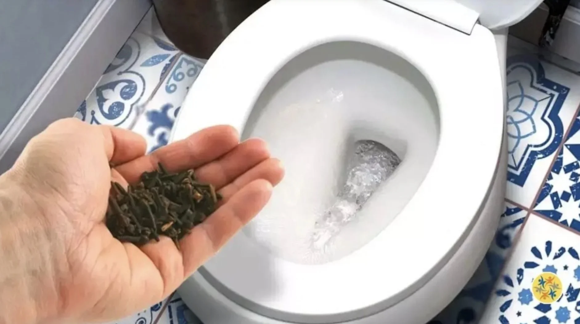 Aha: zo verwijder je de geur van urine uit het toilet en laat je een heerlijke geur achter!