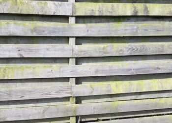 Groene aanslag op je schutting is super snel verdwenen met dit ouderwetse middeltje!