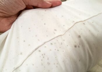 Zo verwijder je eenvouding (schimmel) vlekken uit je tuinkussens