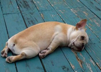 De vakantie voorbij en helemaal geen zin in je werk? Zo lang duurt deze dip en dit kun je eraan doen