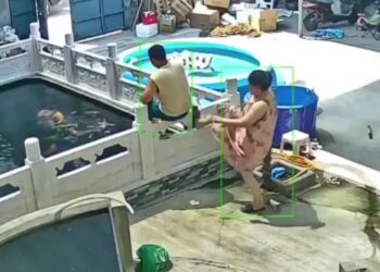 Video: Zwangere vrouw trapt haar man in koi-vijver