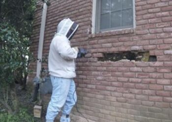 Hij hoort vreemde geluiden in de muur. Als hij ziet wat het is, krijgt hij de schrik van z’n leven!