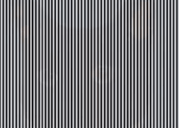 Zie jij het dier dat verstopt zit in deze afbeelding? Beweeg je hoofd eens en kijk goed.