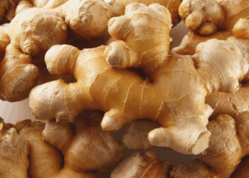 Stop met gember kopen: zo kweek je thuis gemakkelijk je eigen eindeloze voorraad