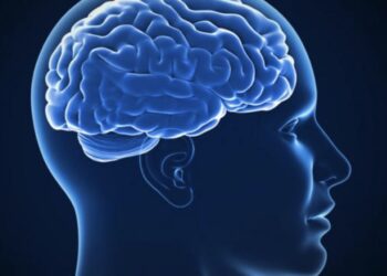 Wetenschapper onthult: deze geuren houden je hersenen gezond