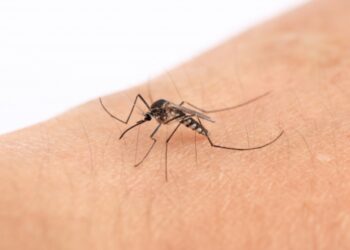 Mug op je slaapkamer? Met deze truc heb je hem binnen no-time gevonden