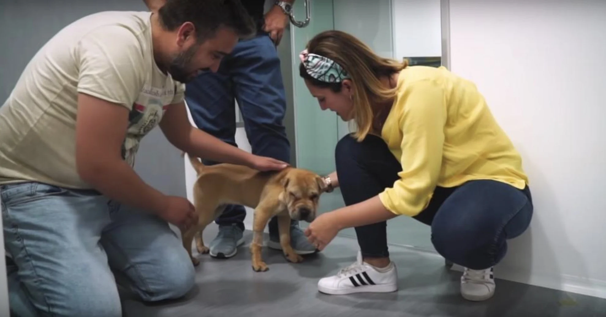 Zwerfhond huilt van blijdschap als ze wordt geadopteerd