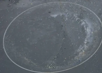 Zo krijg je eenvoudig ingebrande vlekken uit je kookplaat (werkt echt)